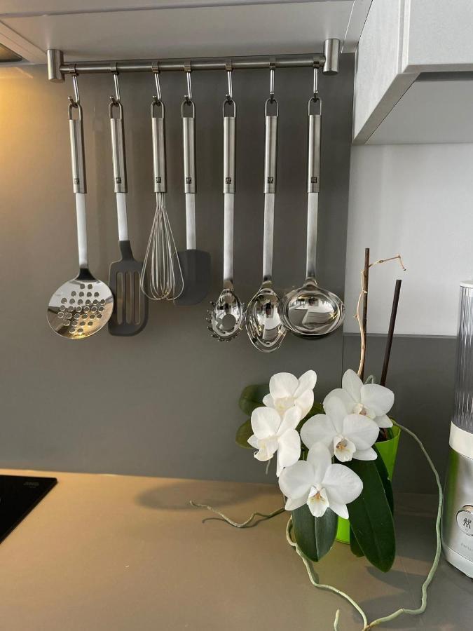 Apartment L'ecrin Des Oliviers *
